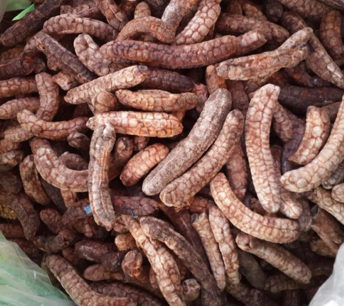 Lịch tr&igrave;nh Măng Đen 2N1D chi tiết từ A đến Z 5