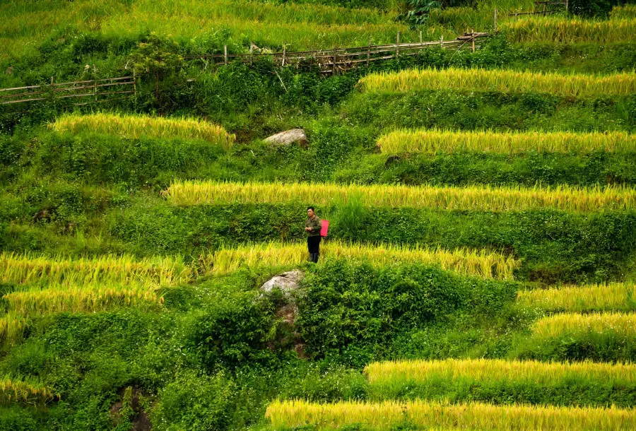 Đến Chợ phiên Y Tý khám phá sắc màu vùng cao 2