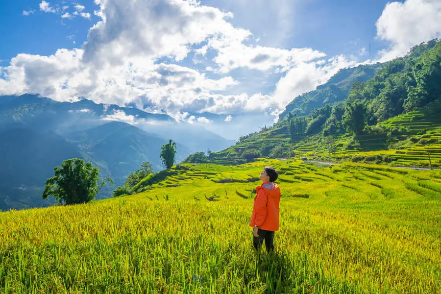 Một m&ugrave;a v&agrave;ng Y T&yacute; huyền ảo giữa đại ng&agrave;n T&acirc;y Bắc n&ecirc;n thơ 6