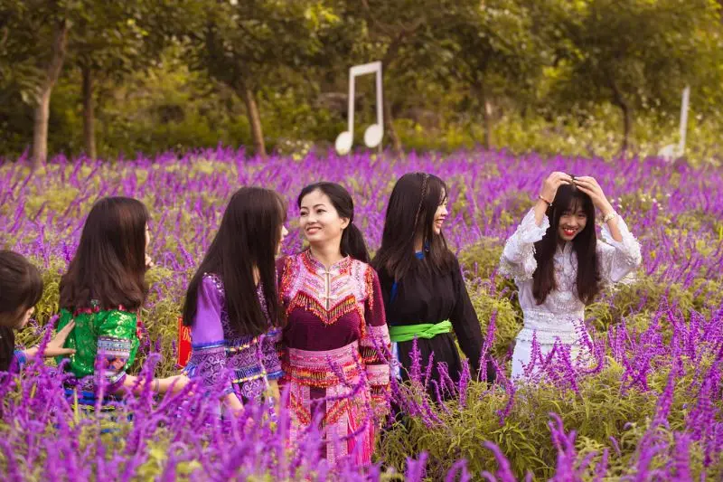Rực rỡ vẻ đẹp thung lũng hoa Bắc H&agrave; giữa cao nguy&ecirc;n T&acirc;y Bắc 4