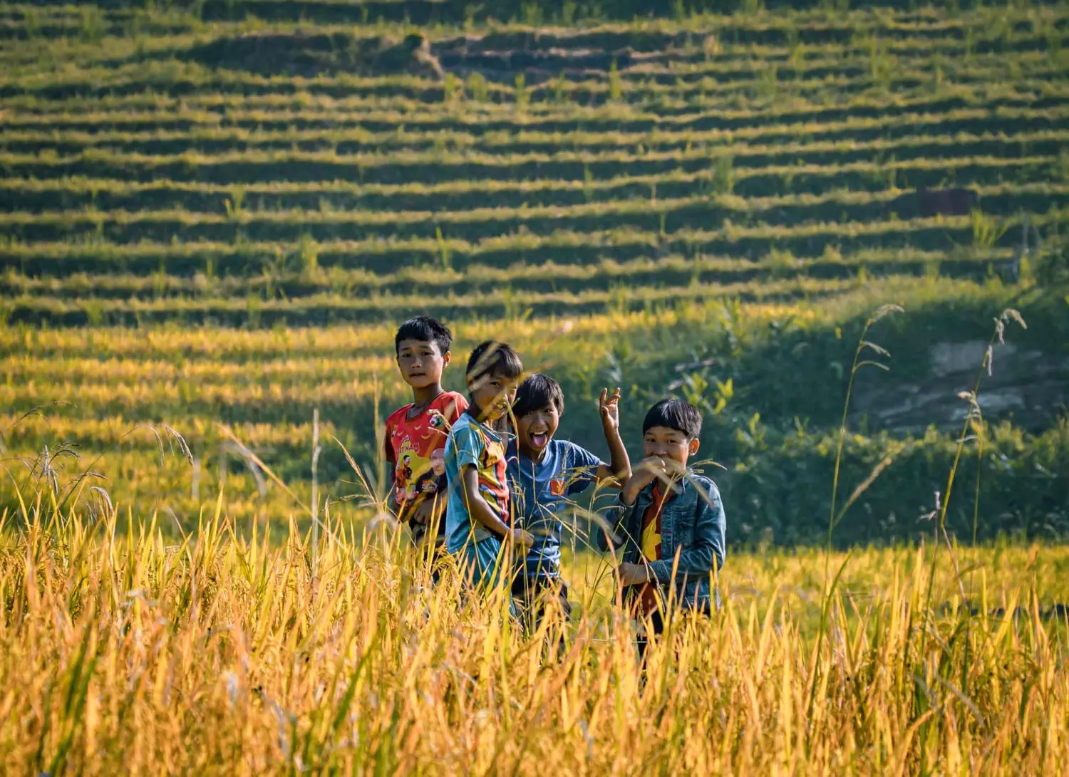 Săn Mùa vàng Y Tý cùng kẻ độc hành Bùi Ngọc Công 4