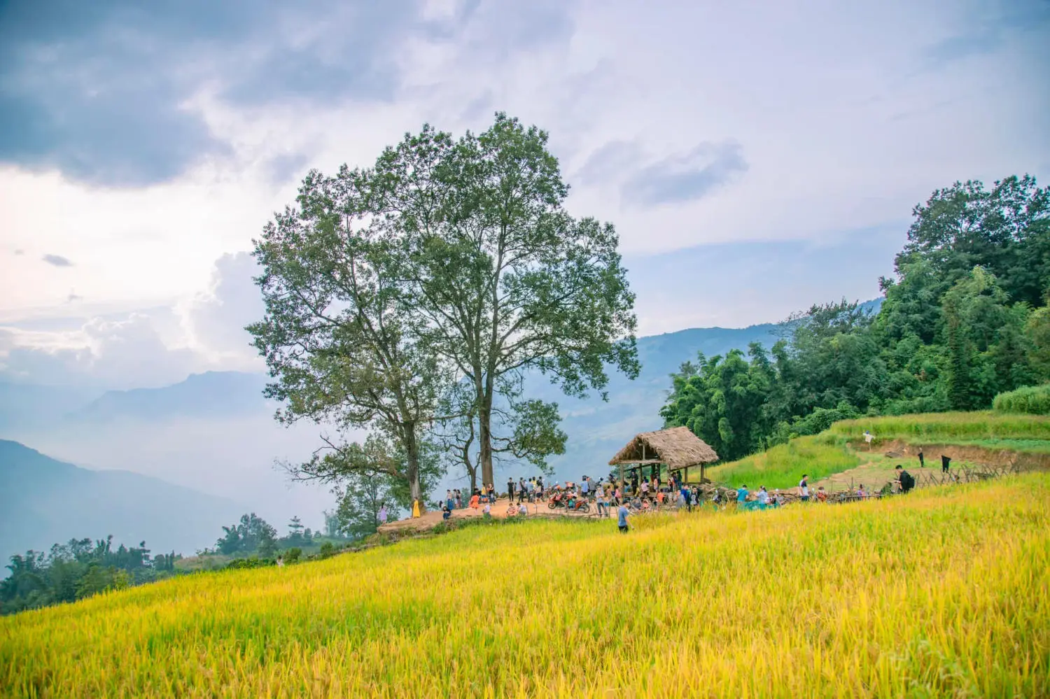 Săn Mùa vàng Y Tý cùng kẻ độc hành Bùi Ngọc Công 7