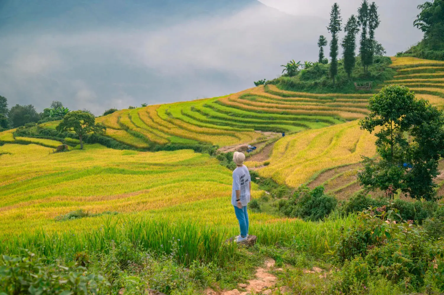 Săn Mùa vàng Y Tý cùng kẻ độc hành Bùi Ngọc Công 8