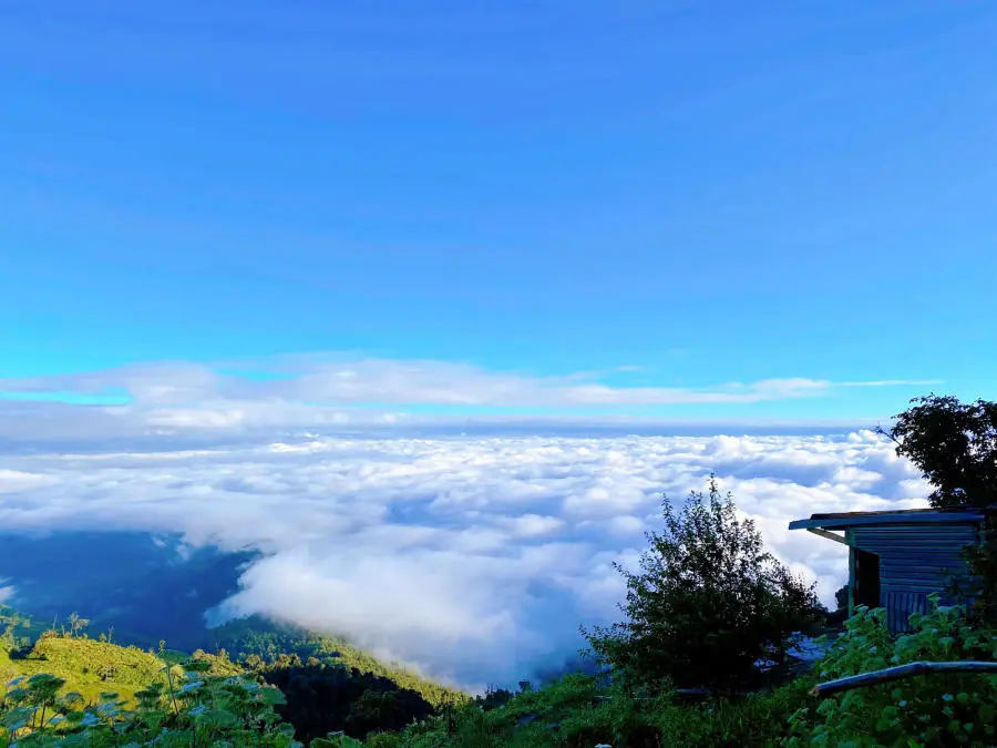 Trekking Lảo Thẩn săn biển m&acirc;y v&agrave; rừng hoa chi p&acirc;u đẹp tuyệt sắc 8