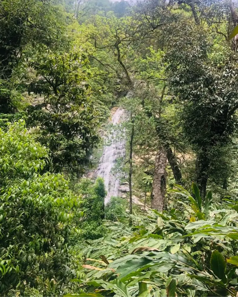Trekking Nh&igrave;u Cồ San, một trong 10 ngọn n&uacute;i cao nhất Việt Nam 6