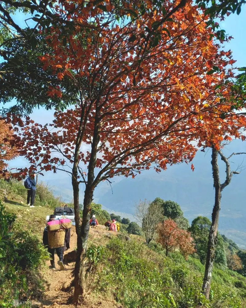 Trekking Nh&igrave;u Cồ San, một trong 10 ngọn n&uacute;i cao nhất Việt Nam 15
