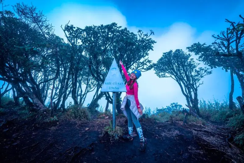 Trekking Nh&igrave;u Cồ San, một trong 10 ngọn n&uacute;i cao nhất Việt Nam 12