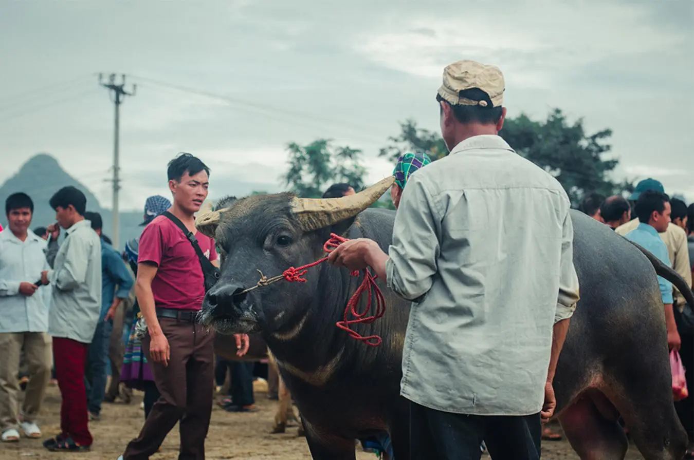 Gợi &yacute; lịch tr&igrave;nh Sapa - Chợ phi&ecirc;n Bắc H&agrave; 4N3Đ - Tiếng gọi nơi miền cao nguy&ecirc;n trắng 12