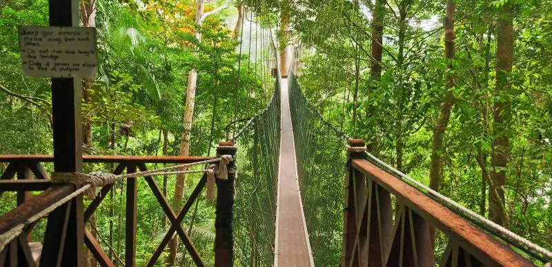 Chuyến thám hiểm tới Vườn quốc gia Taman Negara đầy bí ẩn 6