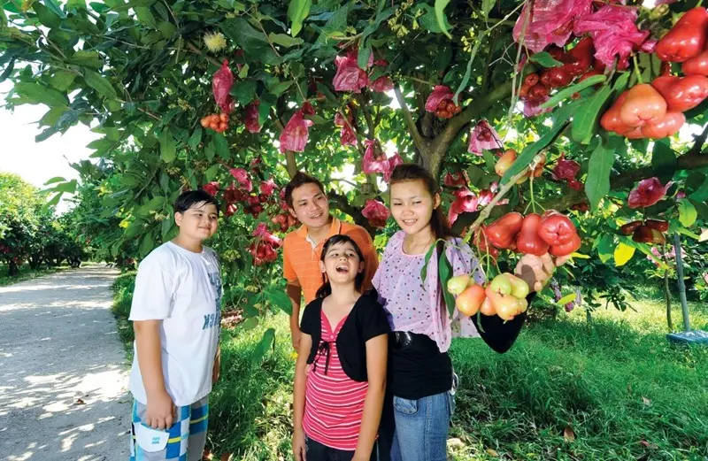 Gõ cửa Johor Bahru khám phá đô thị giải trí hàng đầu tại Malaysia 5