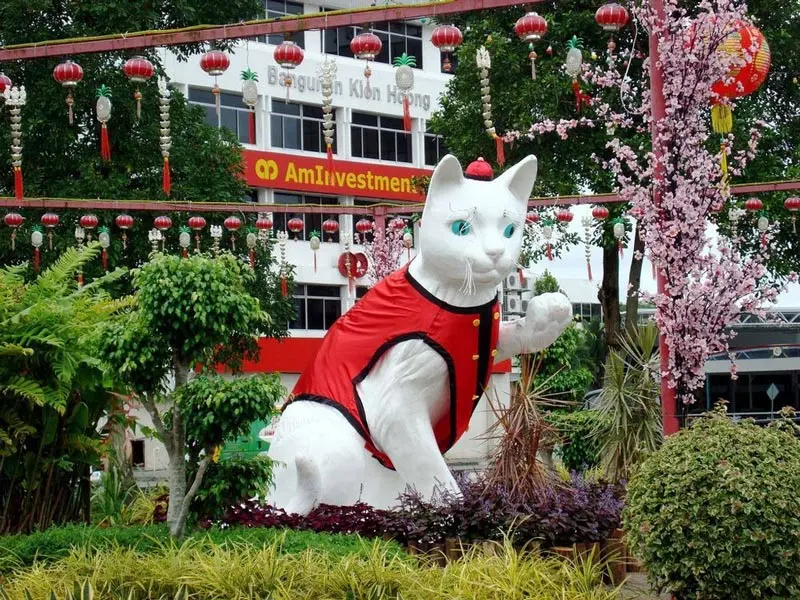 Khám phá Kuching, thiên đường dành cho những “con sen” yêu mèo 3