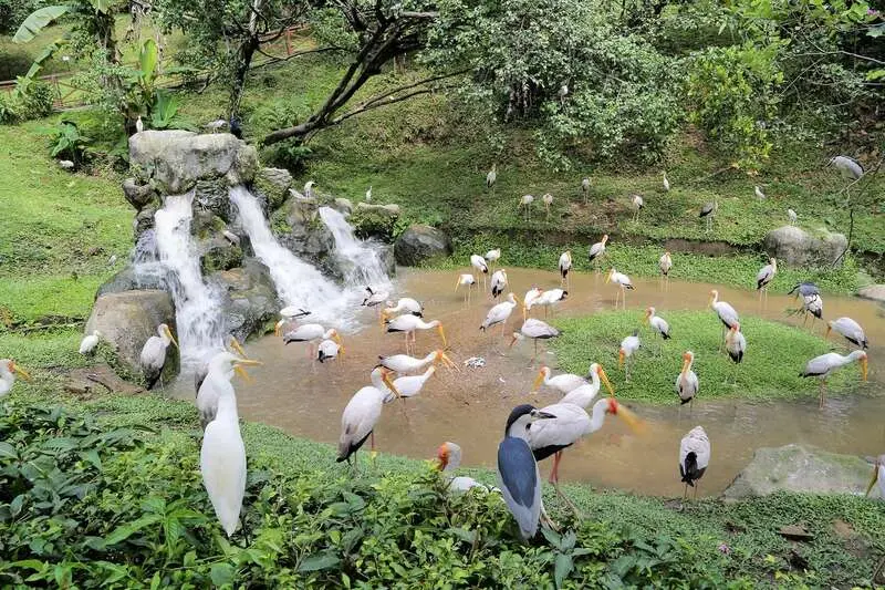 Kinh nghiệm du lịch Kuala Lumpur với 18 địa điểm nổi tiếng 8