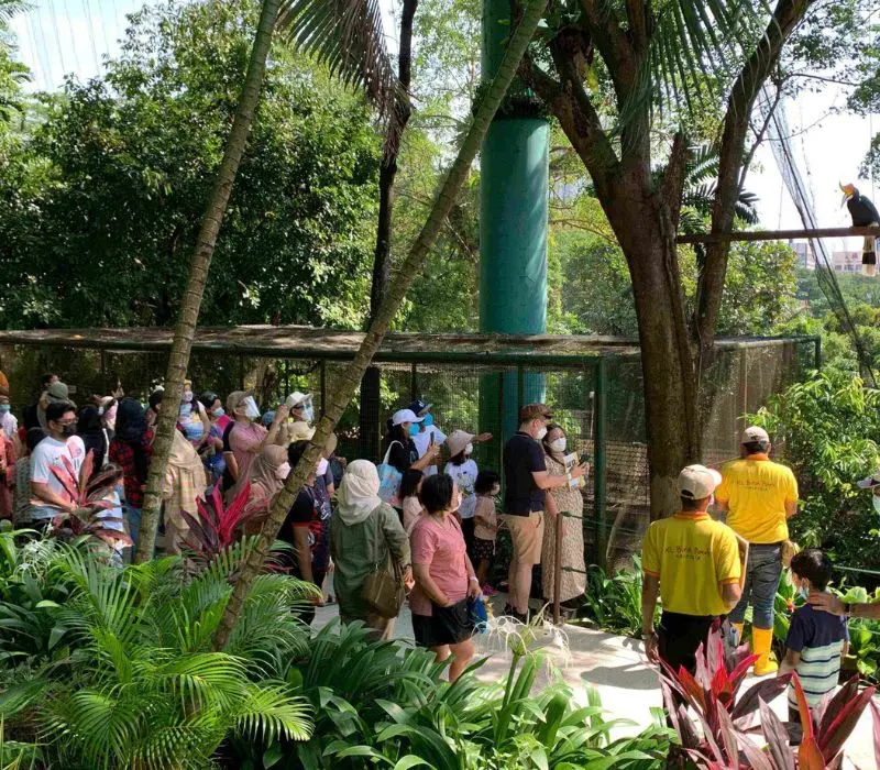 KL Bird Park, thi&ecirc;n đường chim mu&ocirc;ng ngay tại Kuala Lumpur 9