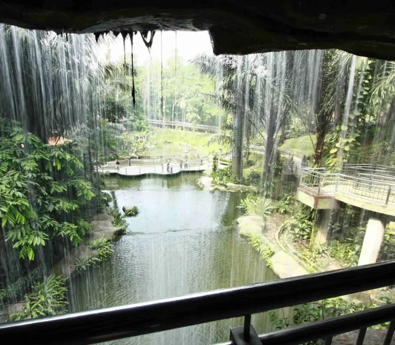 KL Bird Park, thi&ecirc;n đường chim mu&ocirc;ng ngay tại Kuala Lumpur 3