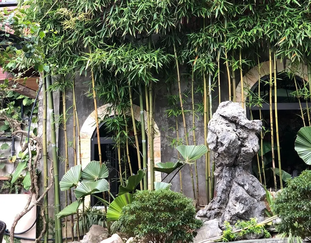 Có một Cafe 999 cứ thế trầm lặng, giúp bạn chìm đắm trong sự bình yên