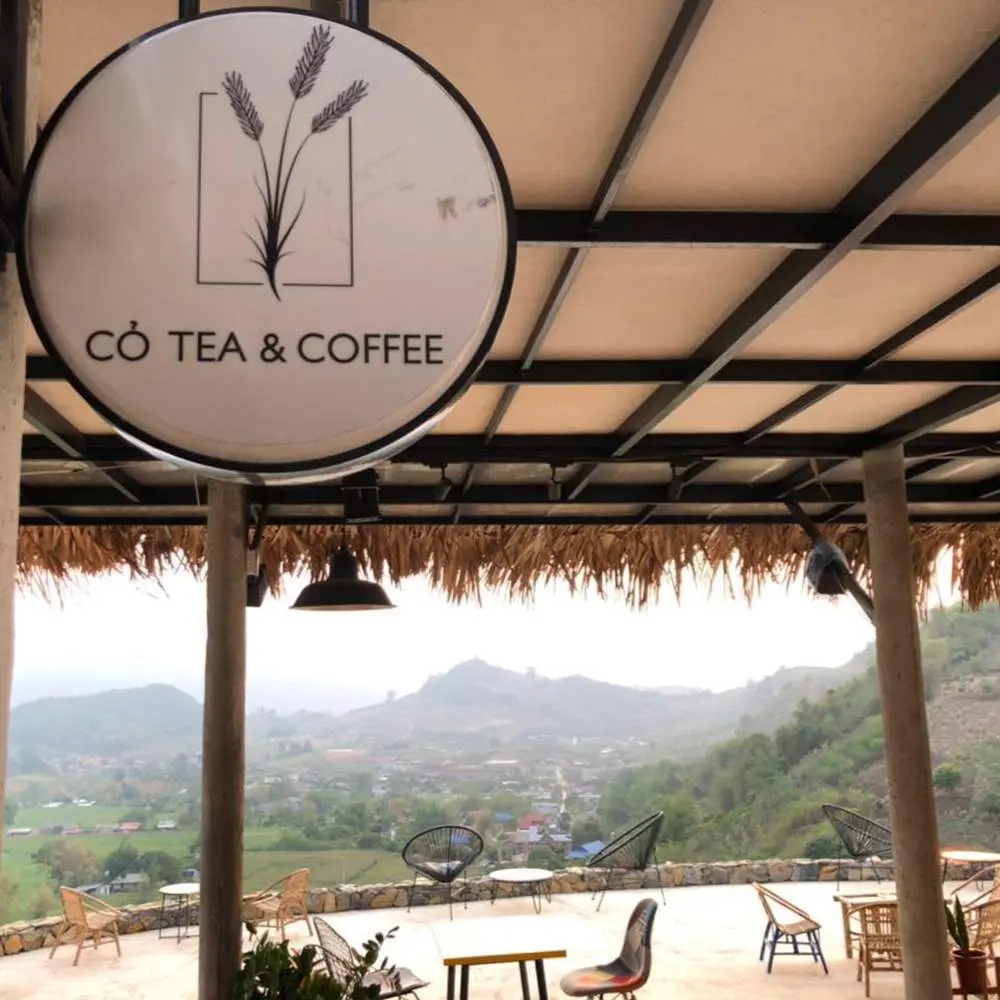 Cỏ Tea & Coffee - Thưởng thức cà phê giữa lưng chừng đồi
