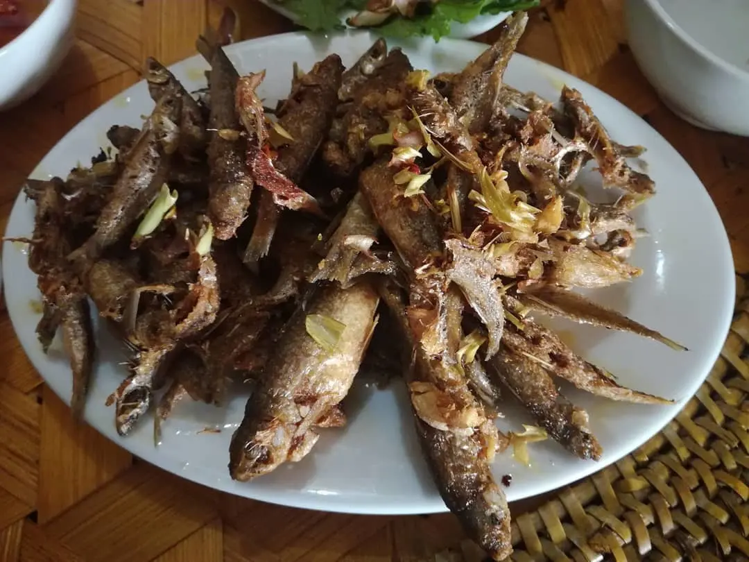 C&aacute; suối Mộc Ch&acirc;u - M&oacute;n ăn d&acirc;n d&atilde; ăn ho&agrave;i kh&ocirc;ng ch&aacute;n 4