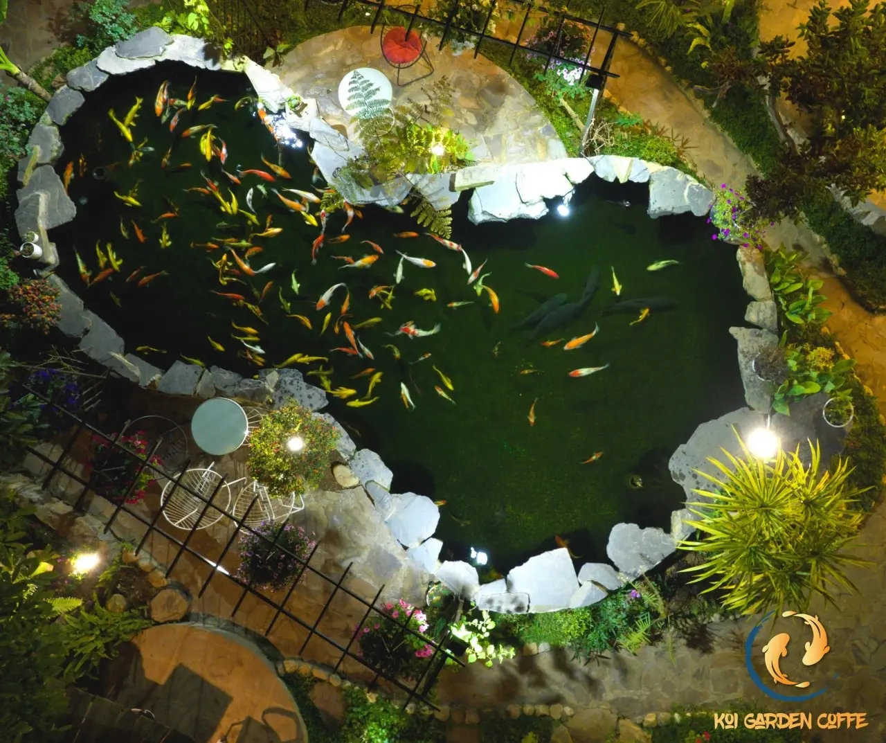 Kh&aacute;m ph&aacute; Koi Garden Mộc Ch&acirc;u - C&agrave; ph&ecirc; c&aacute; Koi độc nhất Mộc Ch&acirc;u 7