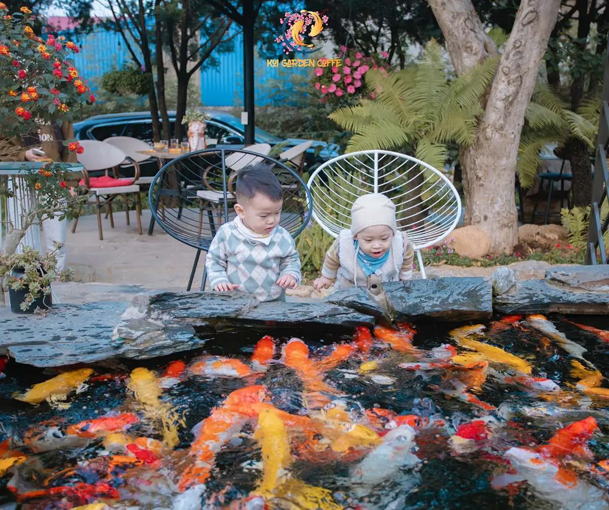 Kh&aacute;m ph&aacute; Koi Garden Mộc Ch&acirc;u - C&agrave; ph&ecirc; c&aacute; Koi độc nhất Mộc Ch&acirc;u 8