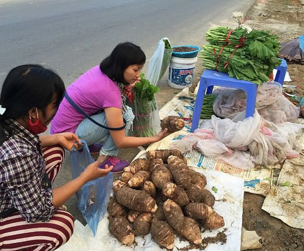 Thưởng thức khoai sọ M&aacute;n Mộc Ch&acirc;u ngọt lịm đốn tim bao người 5