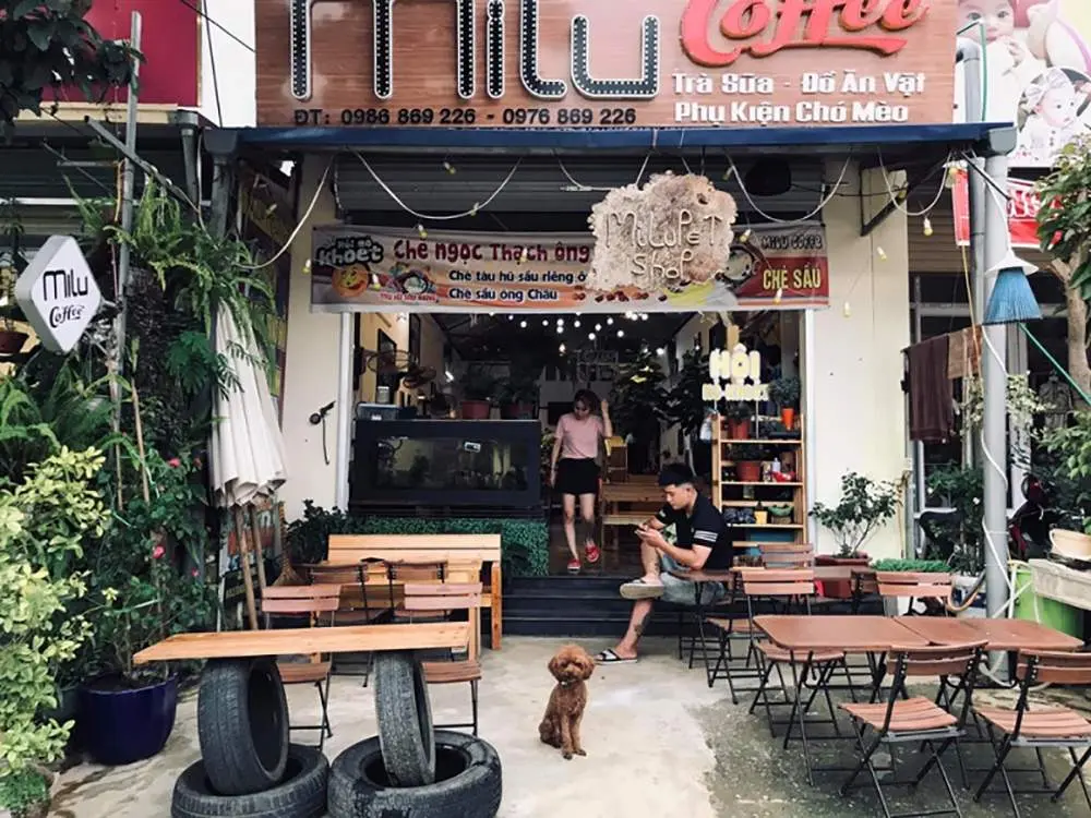 Tổng hợp 7 Qu&aacute;n cafe Mộc Ch&acirc;u view đẹp đồ uống ngon 7