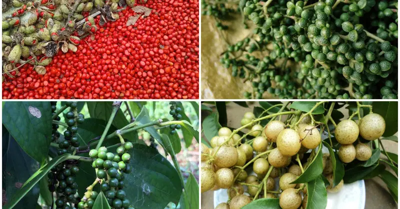 Top 37 m&oacute;n đặc sản Sơn La g&oacute;i trọn hương vị n&uacute;i rừng T&acirc;y Bắc 22
