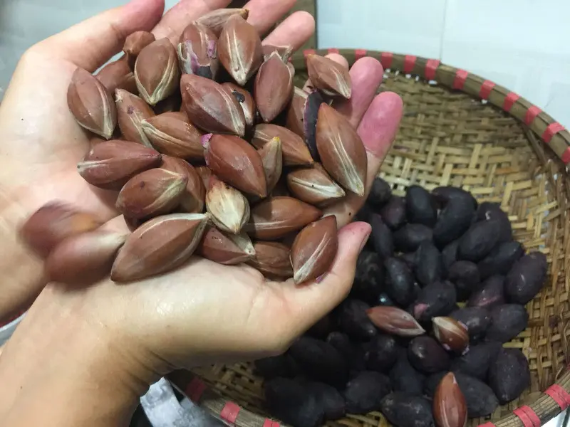 Top 37 m&oacute;n đặc sản Sơn La g&oacute;i trọn hương vị n&uacute;i rừng T&acirc;y Bắc 20