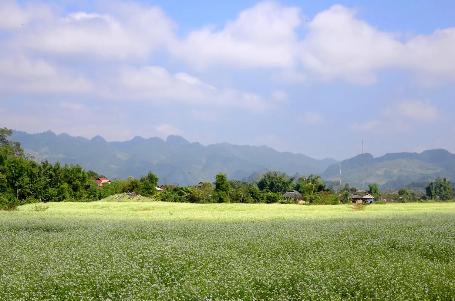 Bản làng Mộc Châu bình yên trong nắng sớm trên vùng cao