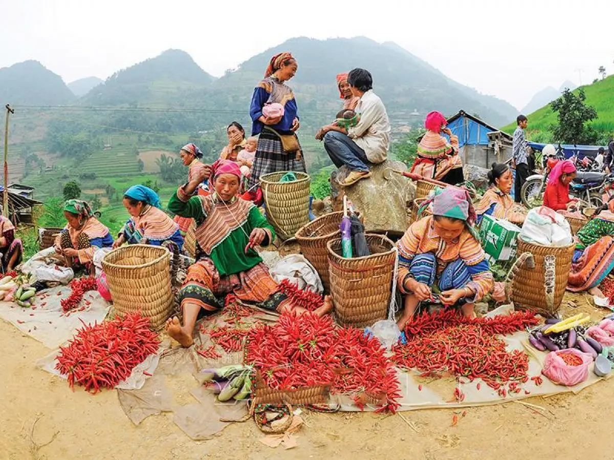B&iacute; mật Du lịch tại Mộc Ch&acirc;u V&agrave;o m&ugrave;a xu&acirc;n 5
