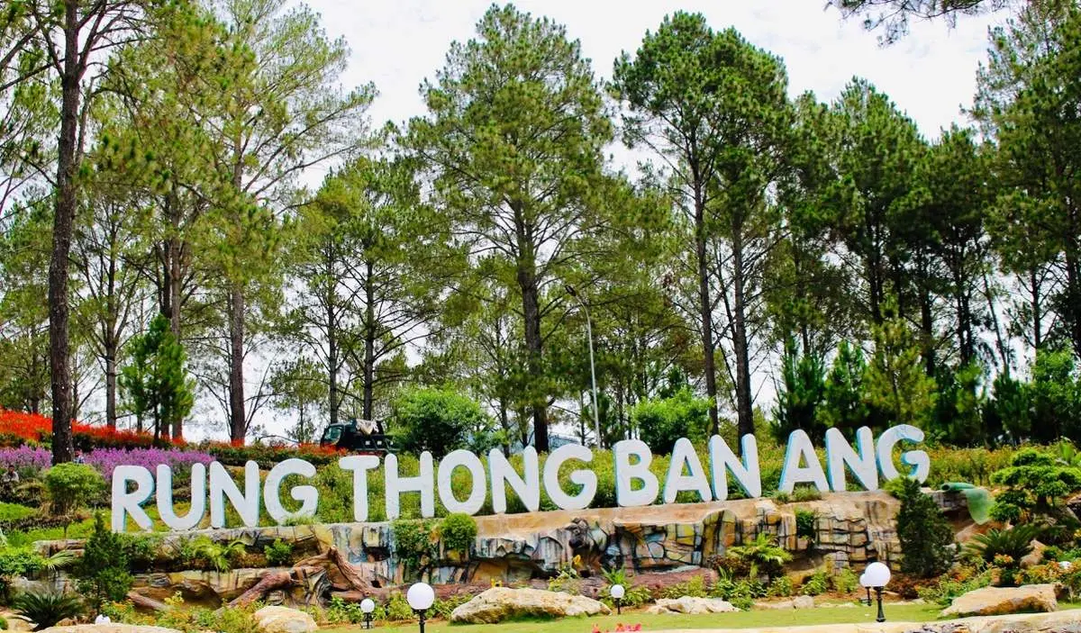 B&iacute; mật Du lịch tại Mộc Ch&acirc;u V&agrave;o m&ugrave;a xu&acirc;n 16