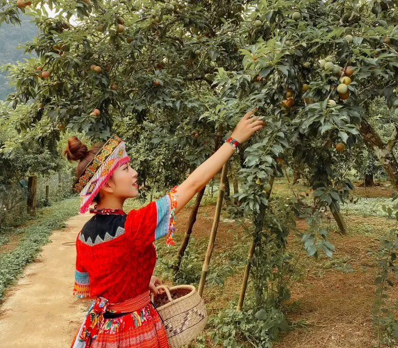 Du lịch Sơn La mùa hè, bí kíp chinh phục vùng đất sương mù 6