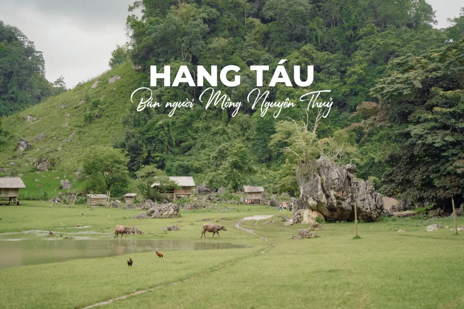 Kh&aacute;m ph&aacute; Hang T&aacute;u c&ugrave;ng c&ocirc; n&agrave;ng Yến Lee với những trải nghiệm đ&aacute;ng nhớ 2