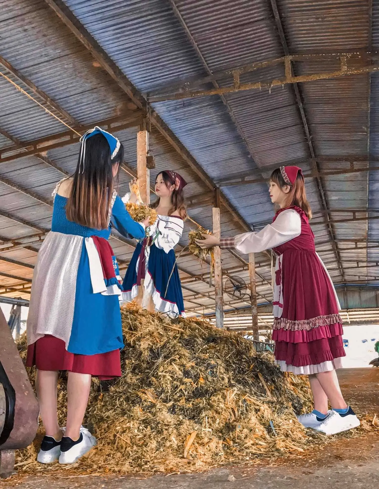 Kh&aacute;m ph&aacute; n&eacute;t đẹp thơ mộng với 1 ng&agrave;y ở trang trại b&ograve; sữa Mộc Ch&acirc;u 4