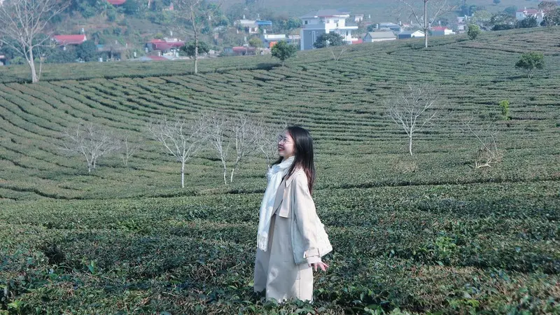 Kinh nghiệm kh&aacute;m ph&aacute; Cao nguy&ecirc;n Mộc Ch&acirc;u với vẻ đẹp thanh b&igrave;nh 6