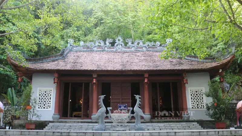 Kinh nghiệm kh&aacute;m ph&aacute; Cao nguy&ecirc;n Mộc Ch&acirc;u với vẻ đẹp thanh b&igrave;nh 10