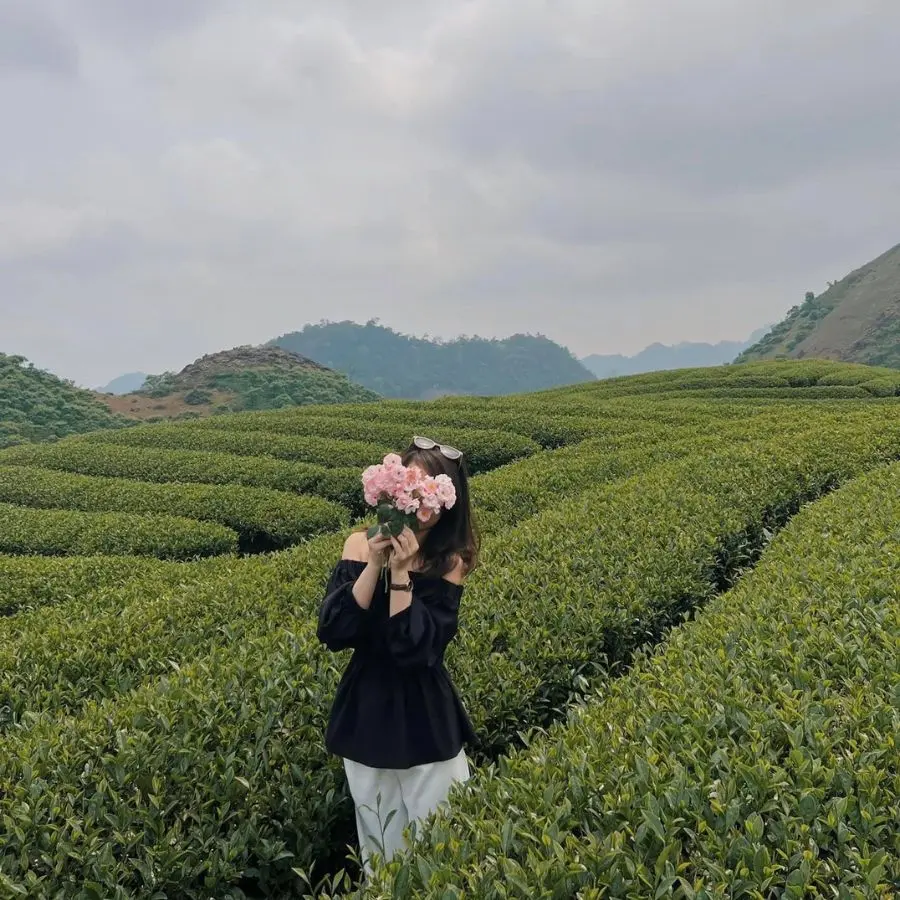 Lang thang Mộc Ch&acirc;u với những điểm đến đẹp tựa bức tranh 3