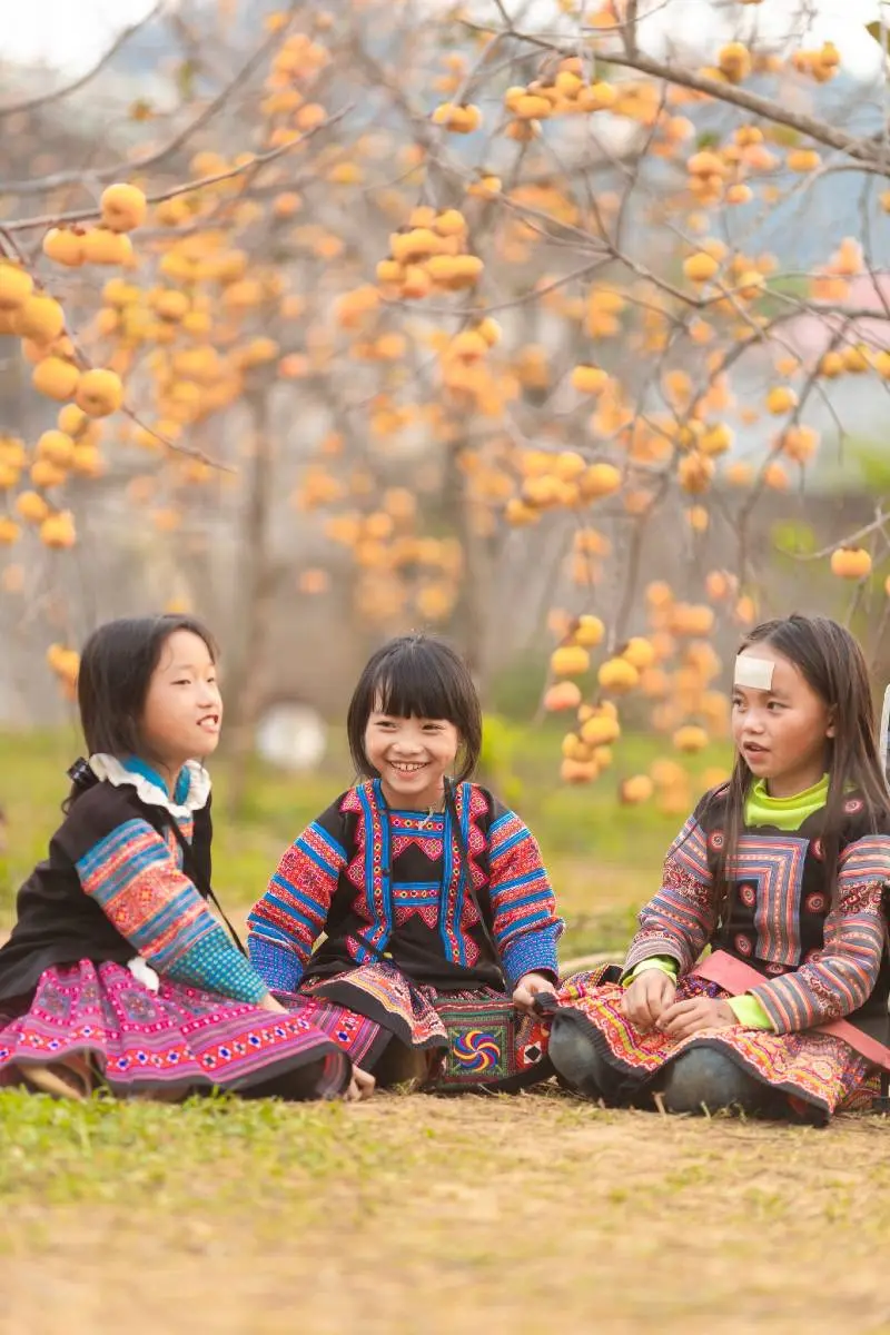 Mộc Ch&acirc;u m&ugrave;a hồng ch&iacute;n, m&oacute;n qu&agrave; đặc biệt của cao nguy&ecirc;n hữu t&igrave;nh 8
