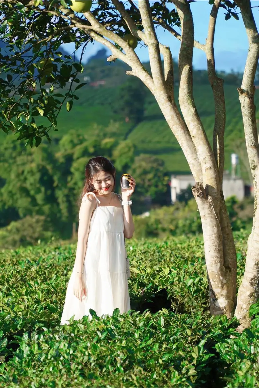 Mộc Ch&acirc;u tr&aacute;i m&ugrave;a, sự l&atilde;ng mạn đến từ v&ugrave;ng đất thanh b&igrave;nh 2