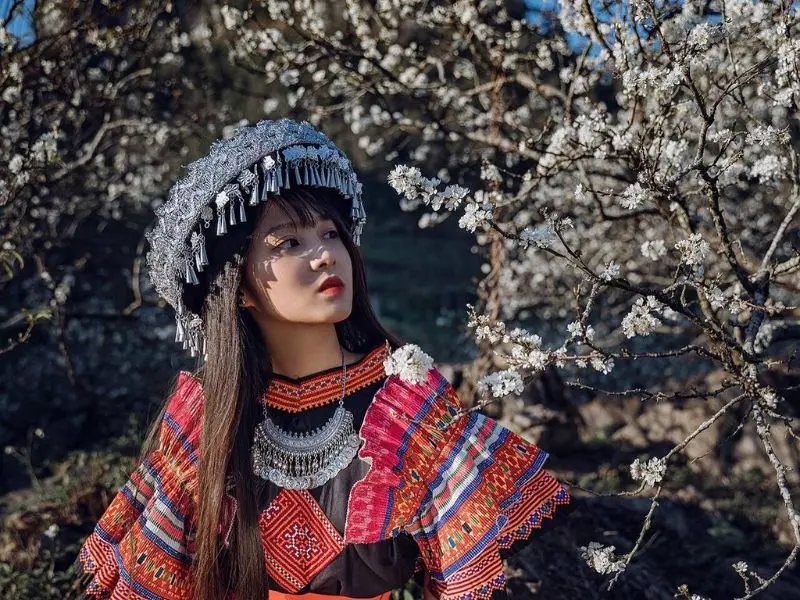 Ngẩn ngơ cảnh sắc m&ugrave;a hoa mận tại 5 địa danh nổi tiếng ở Mộc Ch&acirc;u 8