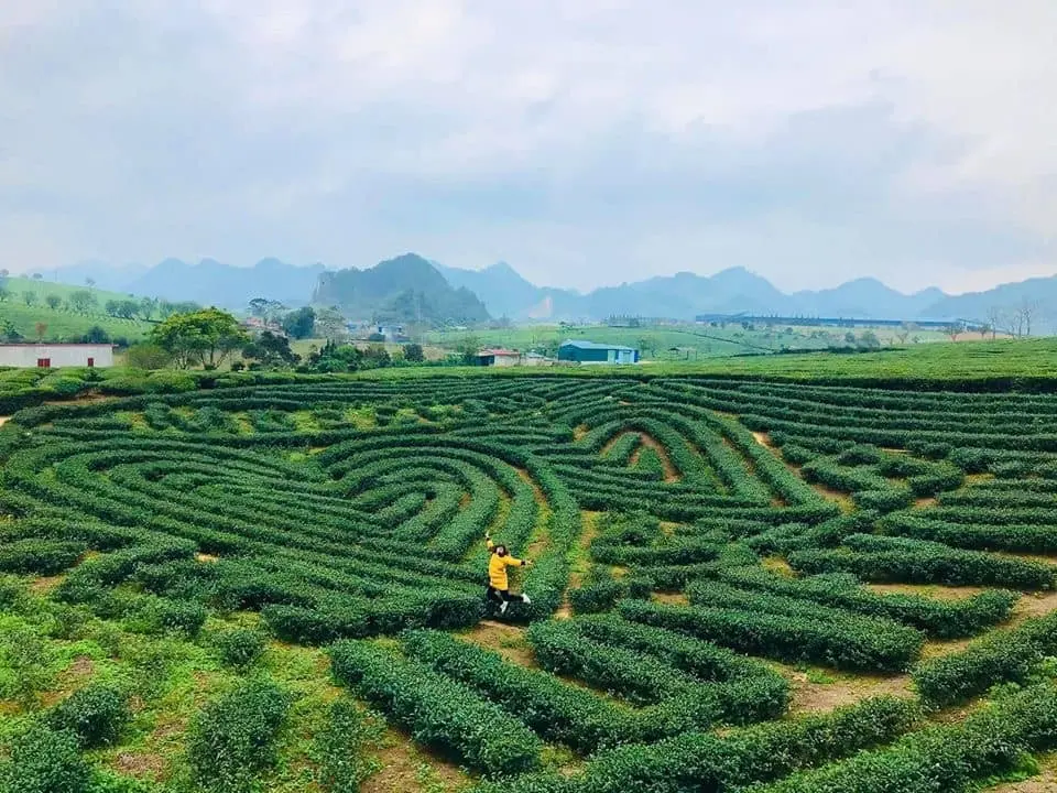 Review Mộc Châu 2 ngày 2 đêm có những gì khiến bạn phải lưu luyến 10