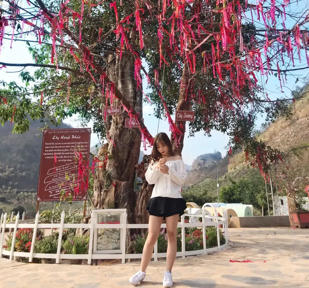 Review Mộc Ch&acirc;u 2N1Đ c&ugrave;ng c&ocirc; n&agrave;ng blogger Phương Anh 4