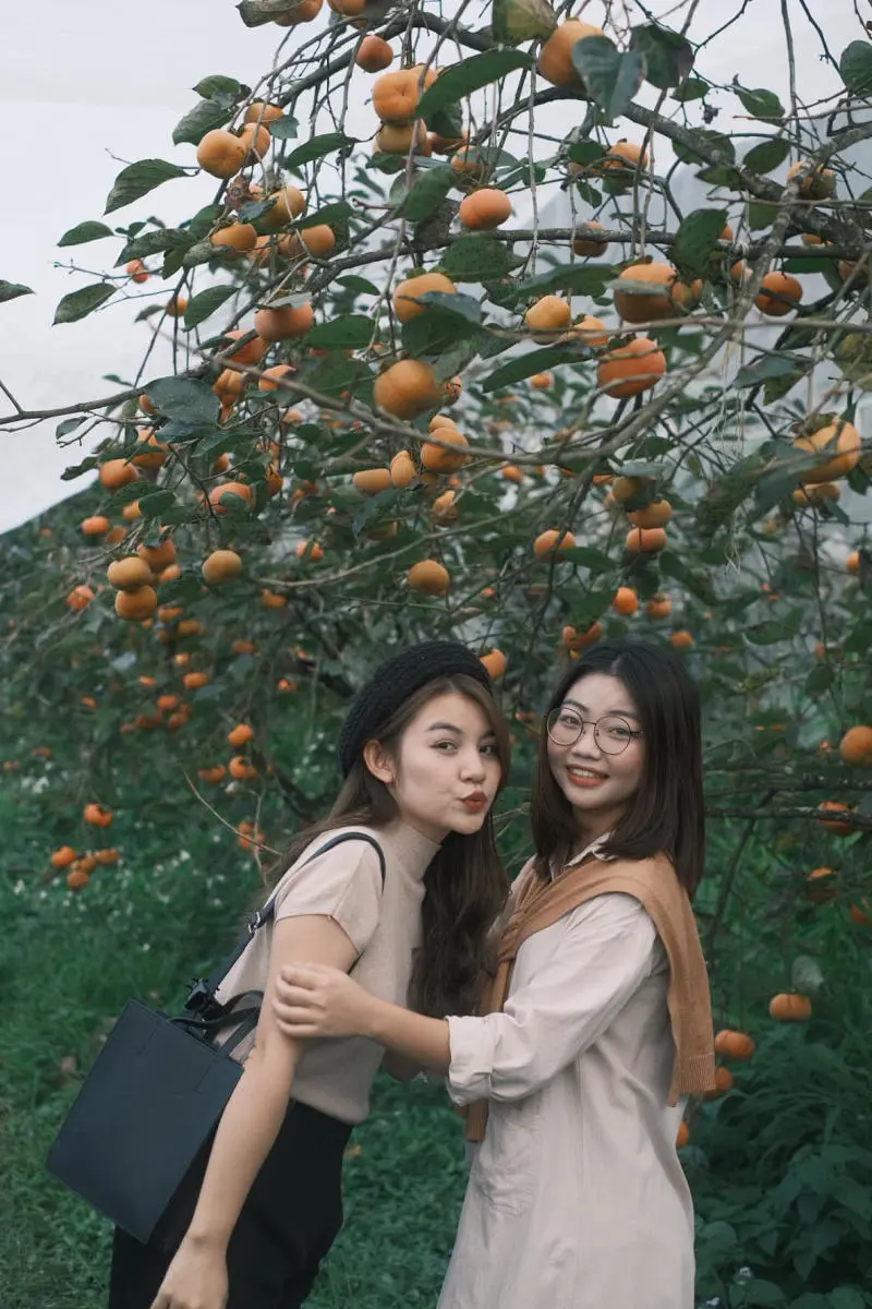 Review Mộc Châu 2N2Đ siêu chi tiết mà bạn nên bỏ túi 7