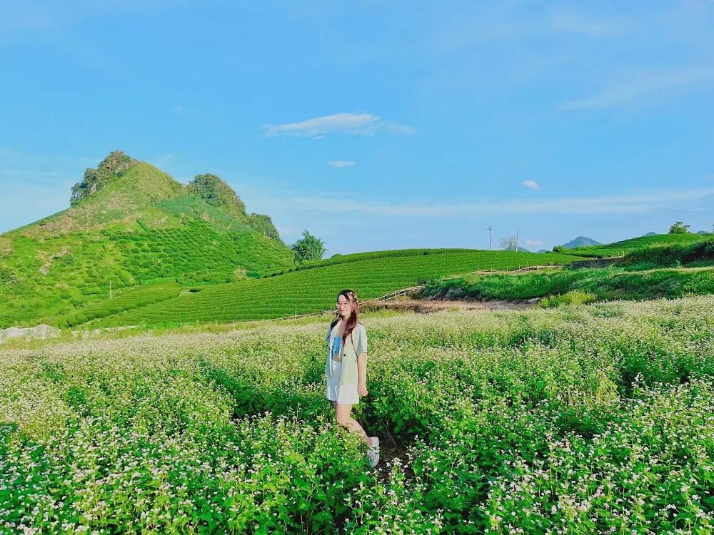 Review Mộc Ch&acirc;u d&agrave;nh cho những t&acirc;m hồn an nhi&ecirc;n của c&ocirc; n&agrave;ng Li&ecirc;n Yuri 3