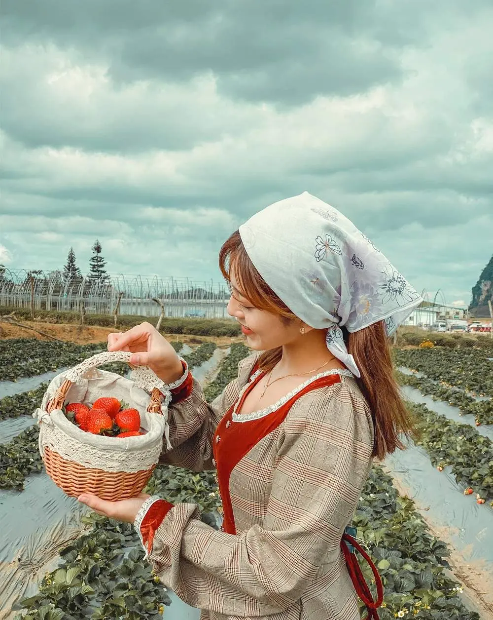 Review Mộc Ch&acirc;u m&ugrave;a hoa mận tuyệt đẹp c&ugrave;ng Maria Tuyền 4