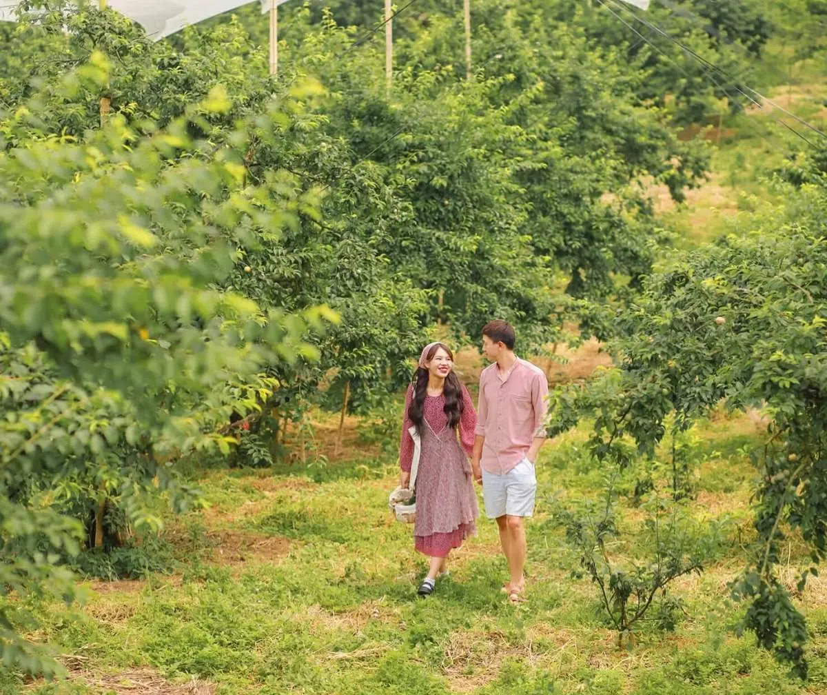 Review m&ugrave;a mận hậu Mộc Ch&acirc;u c&ugrave;ng c&ocirc; n&agrave;ng xinh đẹp Duy&ecirc;n Cao 3