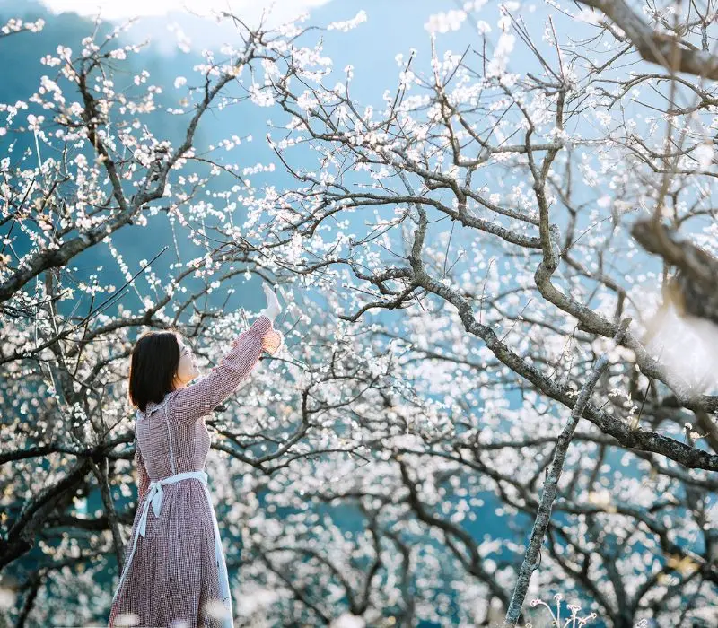 Du lịch Sơn La mùa hè, bí kíp chinh phục vùng đất sương mù