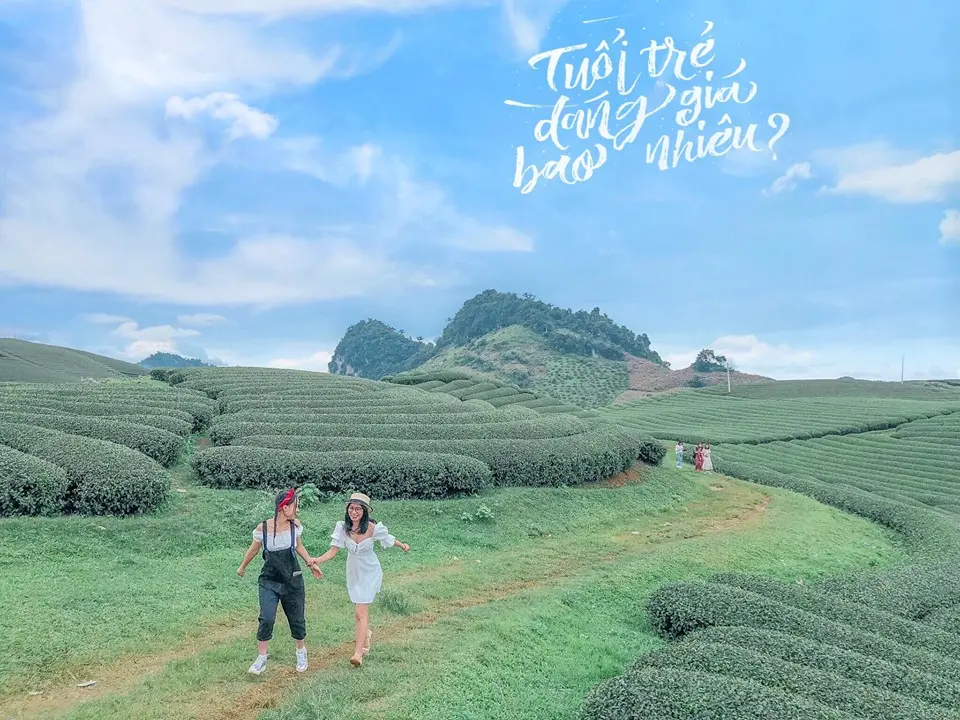 Review cuối tuần ở Mộc Châu có gì vui, cùng xem bài viết này bạn nhé