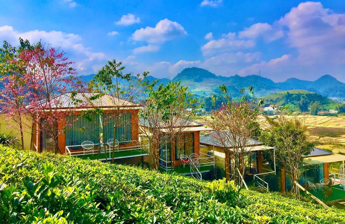Review homestay Wooden House Mộc Châu cực chi tiết
