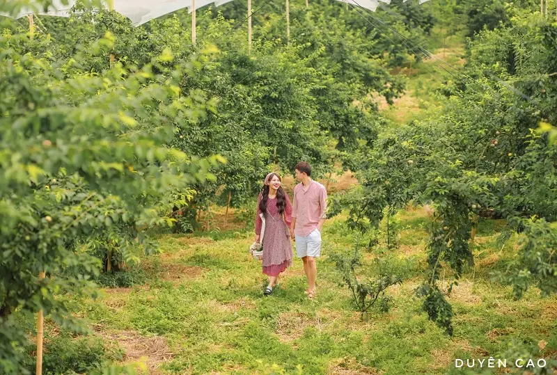 Review mùa mận hậu Mộc Châu cùng cô nàng xinh đẹp Duyên Cao
