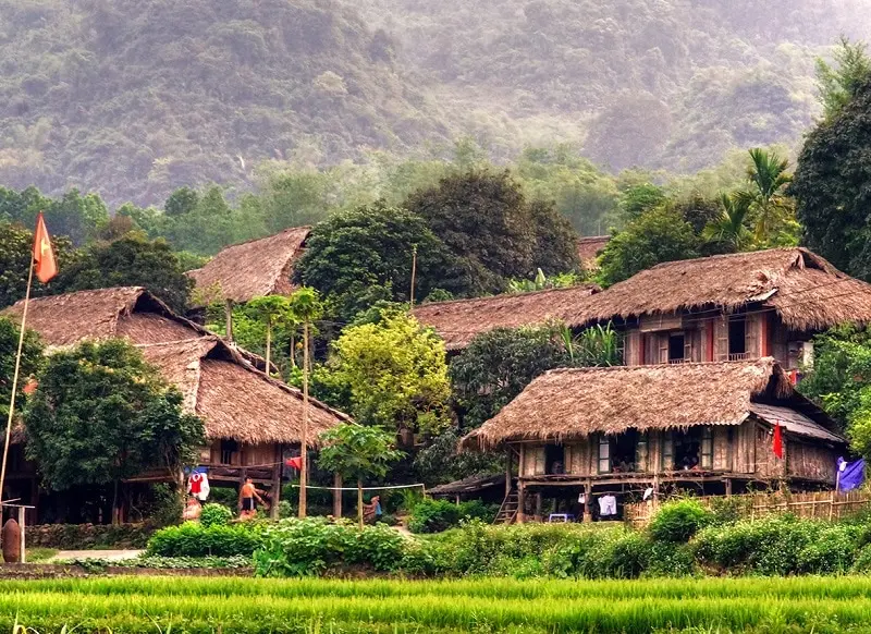 Bỏ túi Lịch trình Mộc Châu - Mai Châu 4N3Đ đầy trải nghiệm thú vị 5
